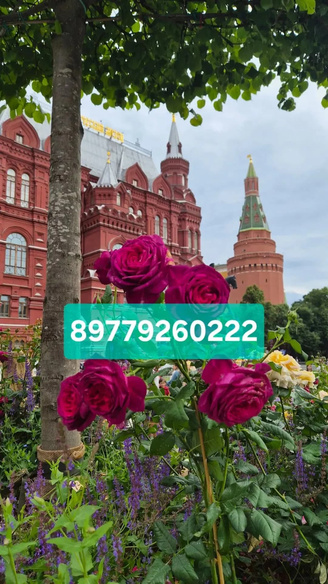 Москва Зеленая